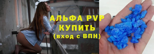 прущие грибы Абинск