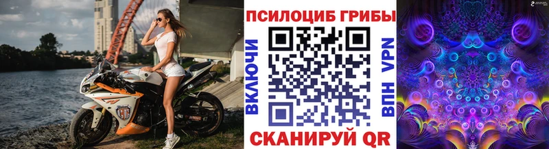 Галлюциногенные грибы Psilocybe  купить наркотик  Лысково 