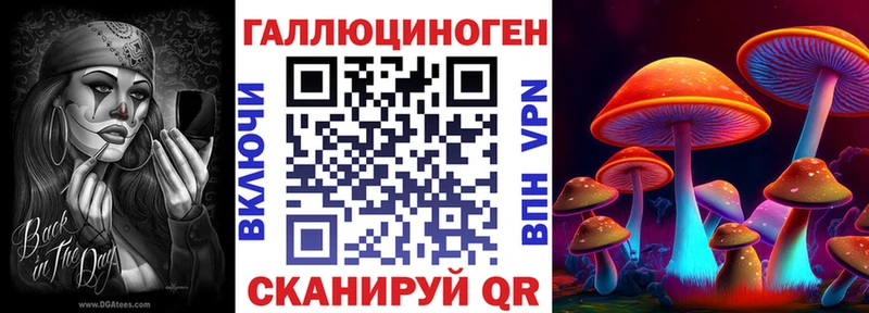 Галлюциногенные грибы Psilocybe Лысково
